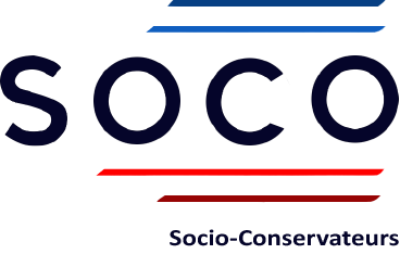 logo soco petit